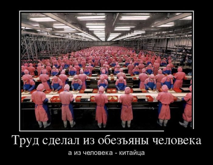 демотиватор