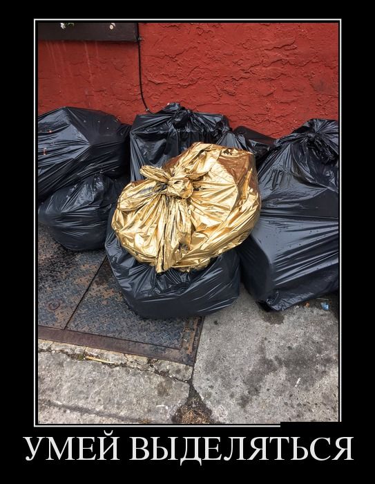 демотиватор