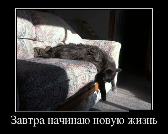 демотиватор