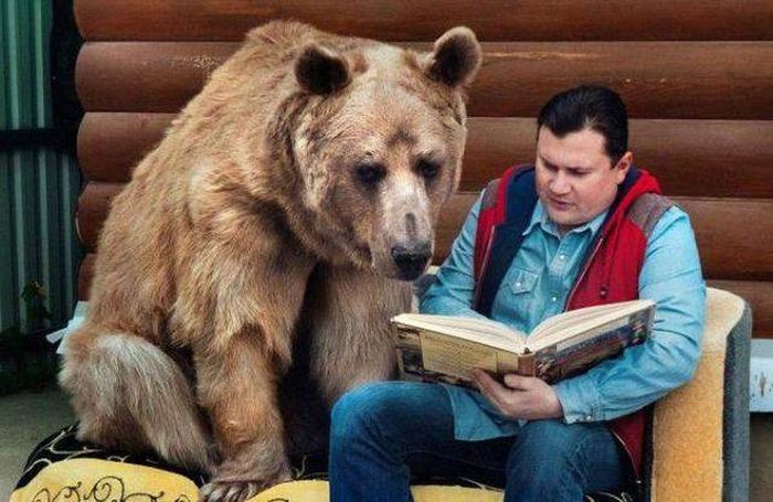 Прикольные картинки