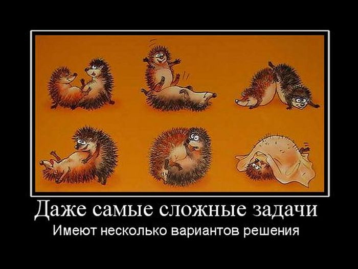 демотиватор