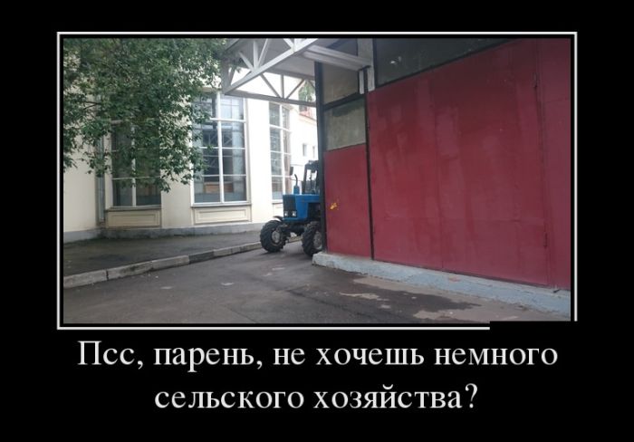 демотиватор