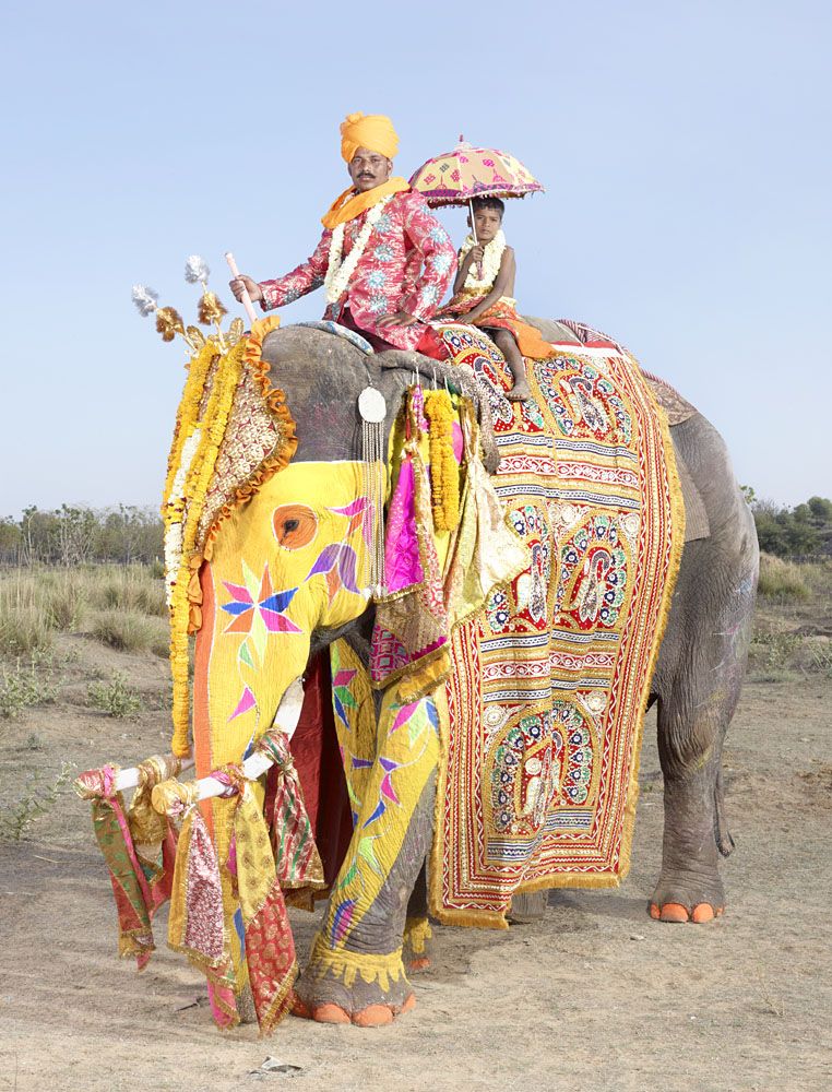 разрисованный живой слон