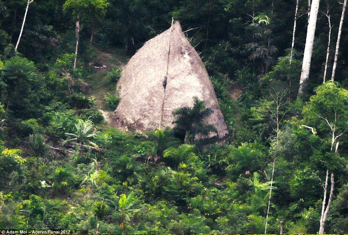 В верховьях Амазонки найдено несколько изолированных от внешнего мира поселений