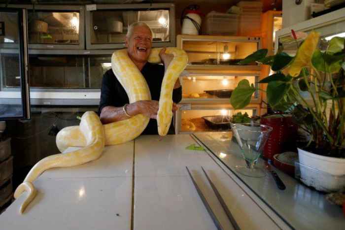 Дом французского пенсирнера стал убежищем для четырех сотен змей, крокодилов и тарантулов