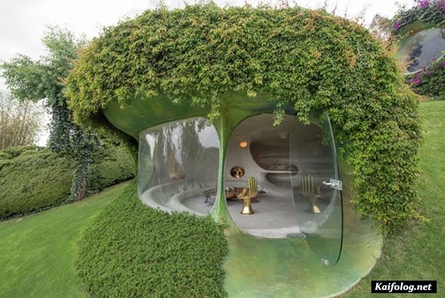 "Зеленый дом хоббита" от биоархитектора