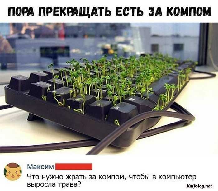 Подборка фотоприколов № 761