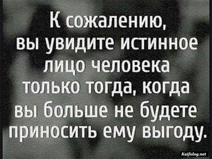 Цитата дня