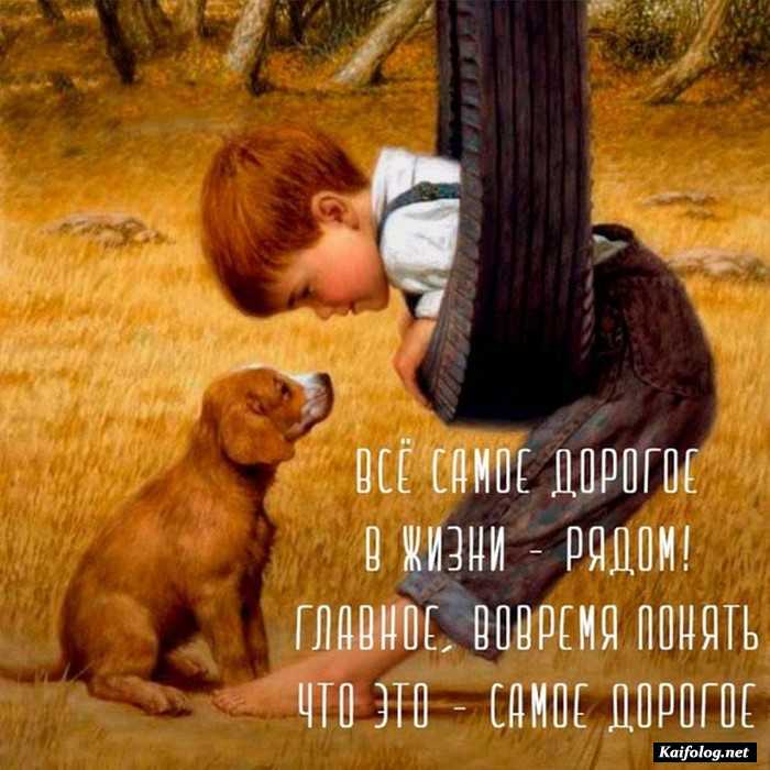 Цитата дня