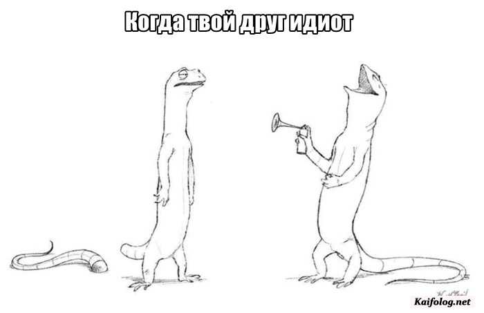 Прикольные картинки