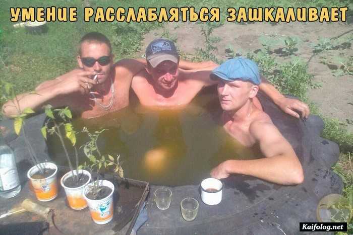 Прикольные картинки