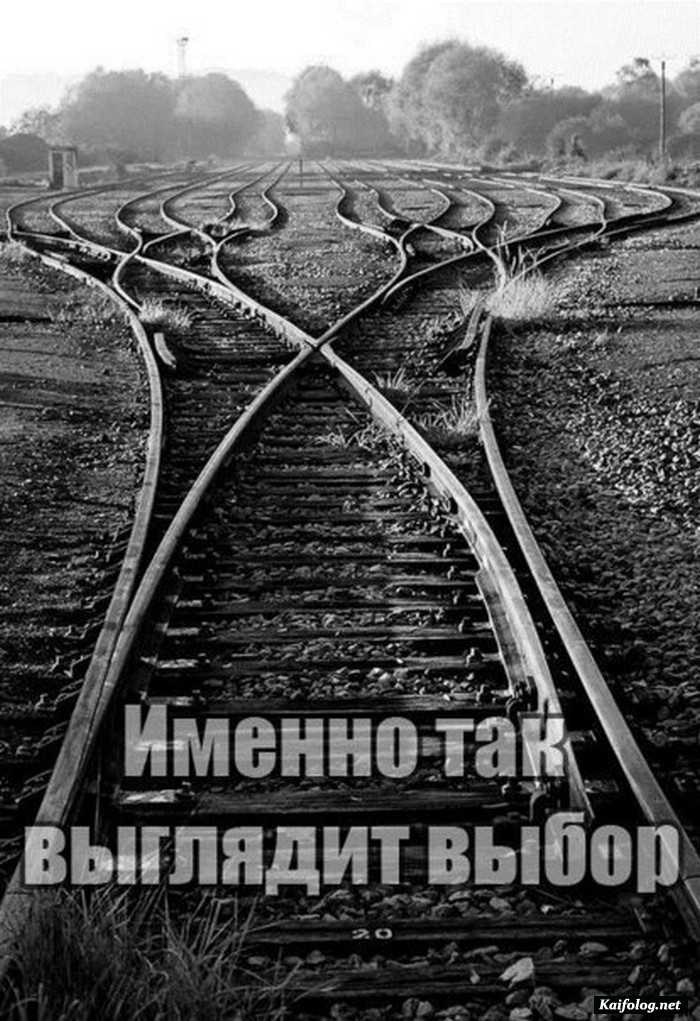 Цитата дня