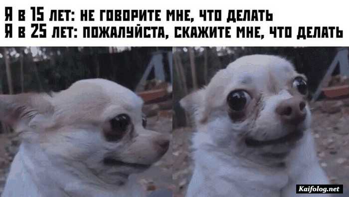 Подборка фотоприколов № 774