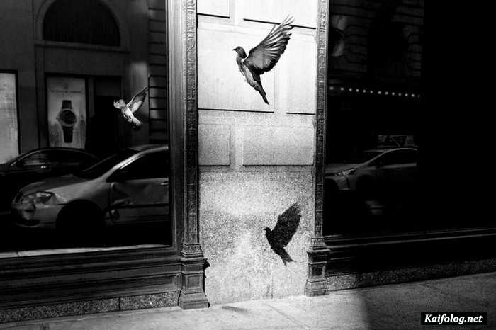 Чёрно-белые фотографии на улицах многих городов