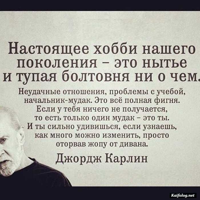 Цитата дня