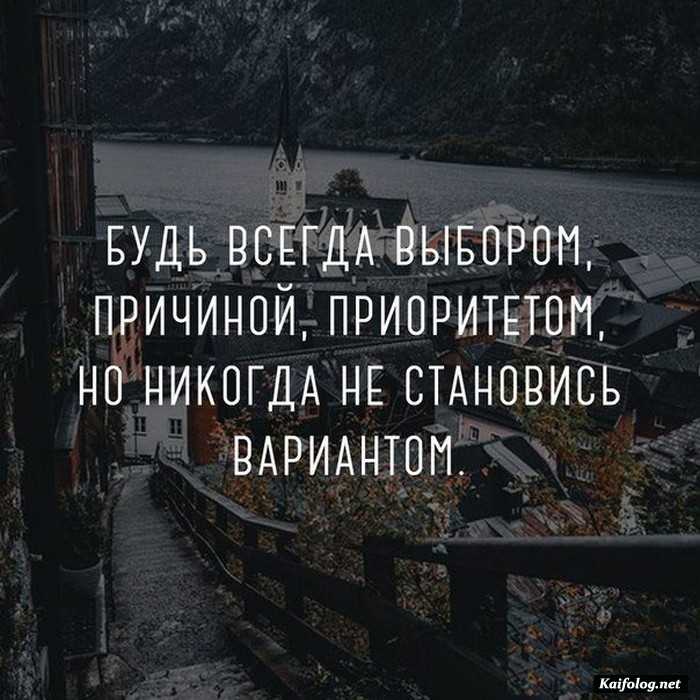Цитата дня