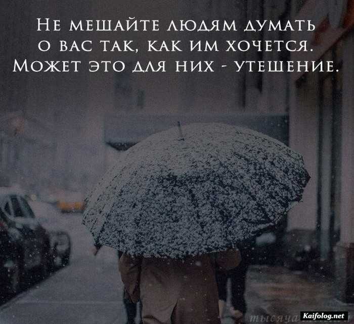 Цитата дня