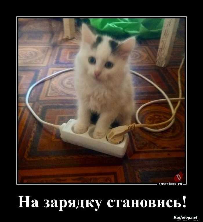 демотиватор