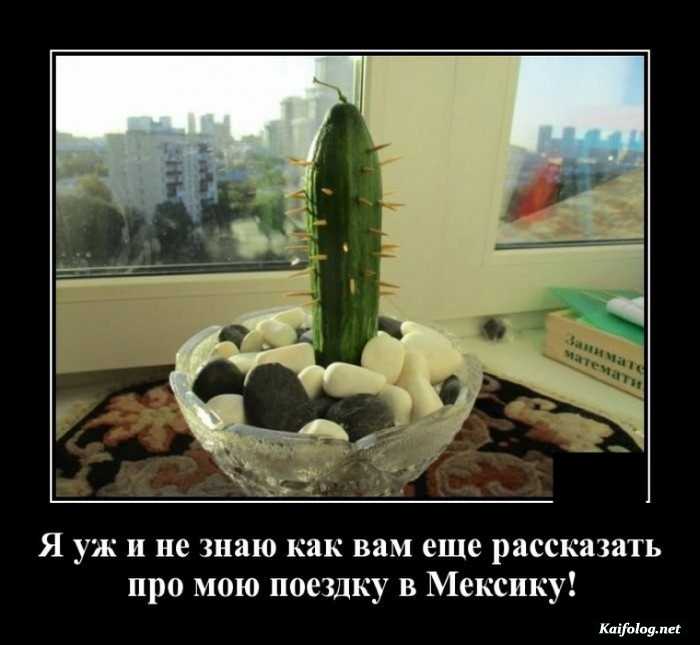 демотиватор