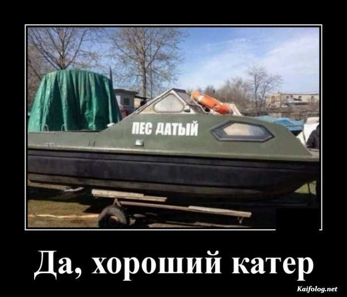 демотиватор