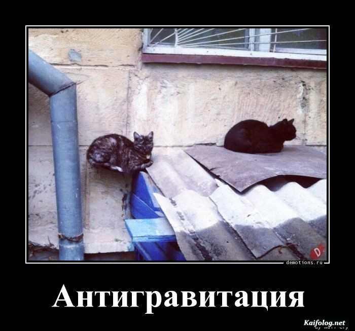 демотиватор