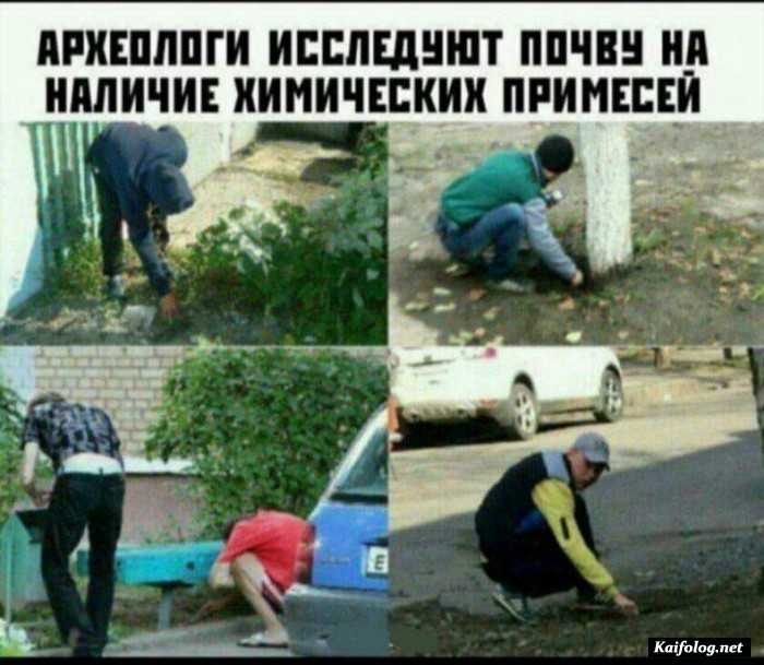 Прикольные картинки