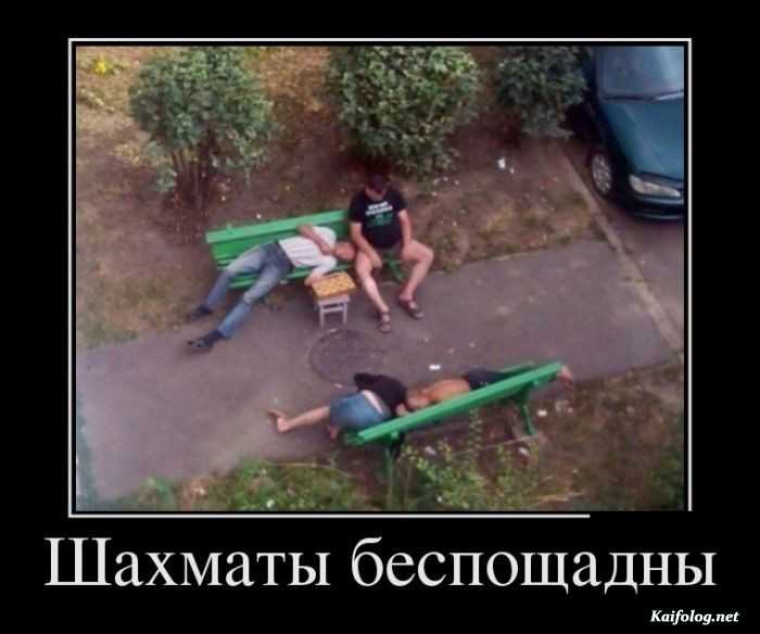 Подборка прикольных демотиваторов № 808