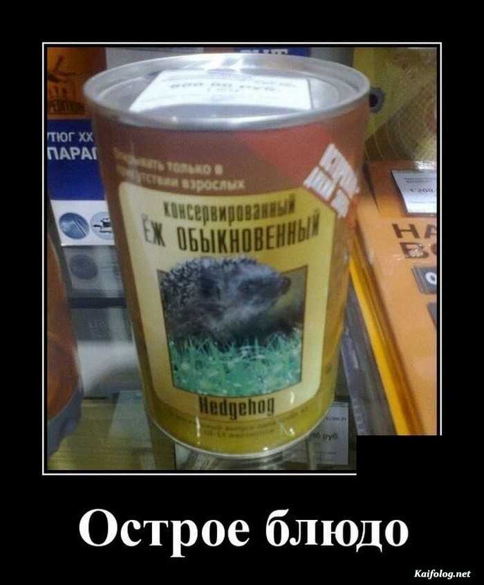 Подборка прикольных демотиваторов № 813