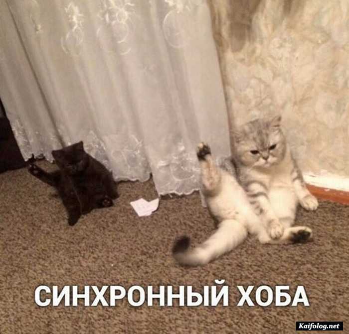Подборка фотоприколов № 831