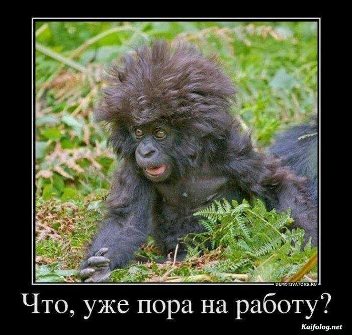 Подборка прикольных демотиваторов № 814