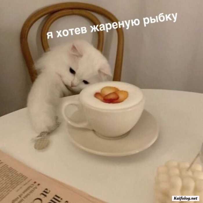 Подборка фотоприколов № 840