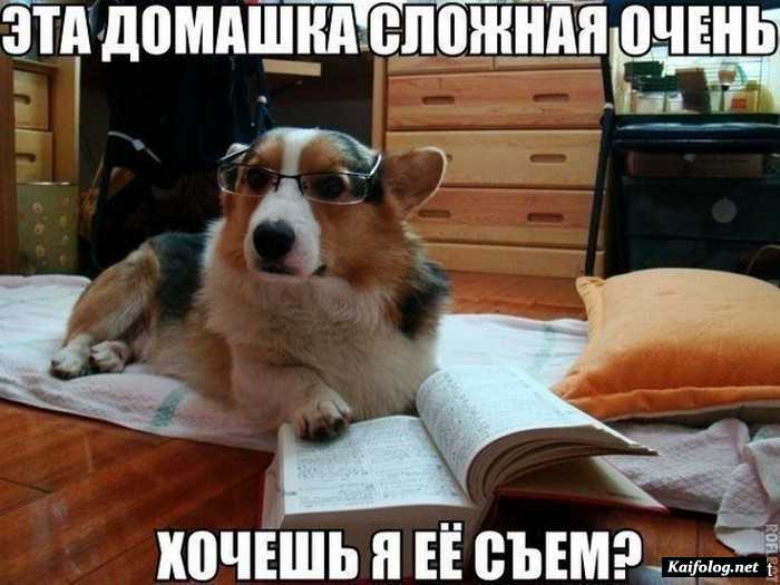 Подборка фотоприколов № 842