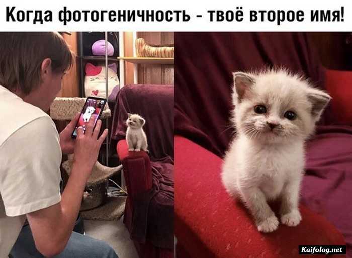 Подборка фотоприколов № 843