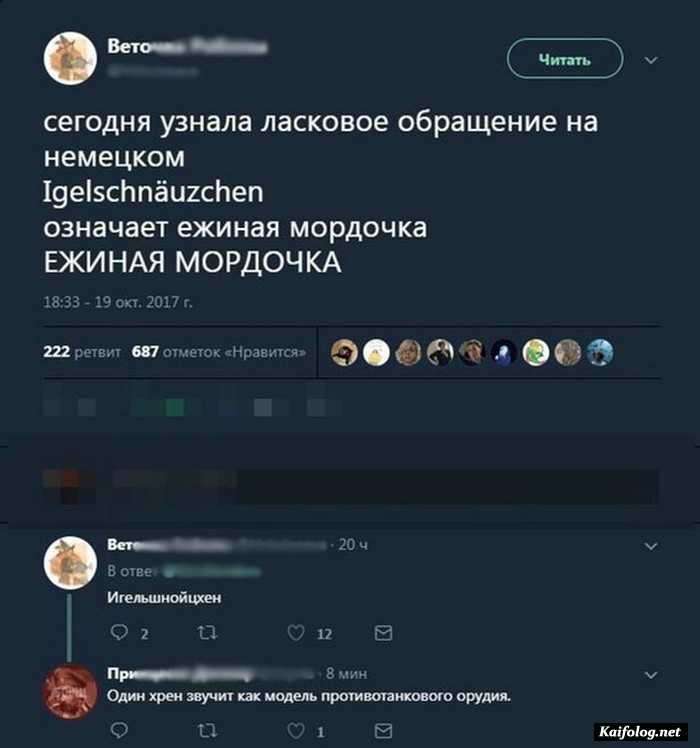 смешная картинка с надписью