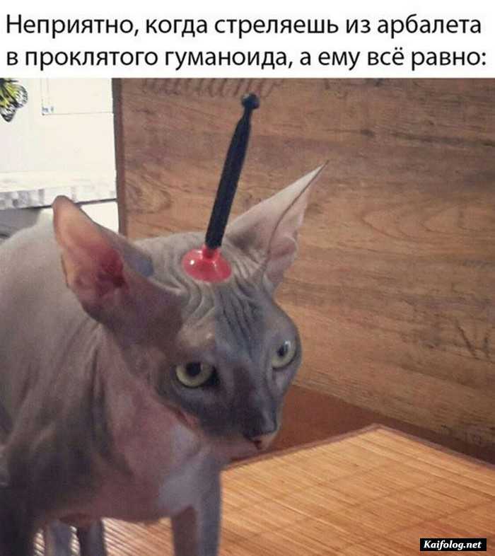 Подборка фотоприколов № 844