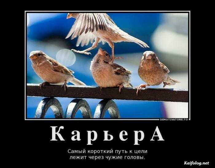 прикольный демотиватор