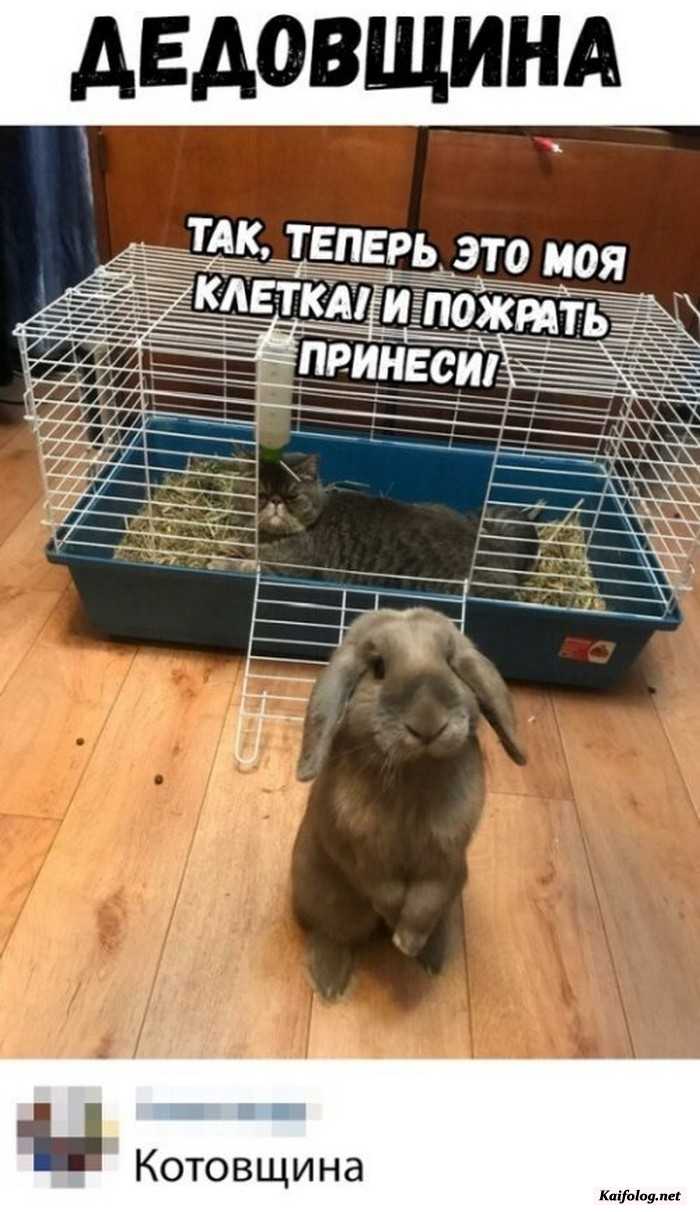 прикольная картинка с надписью