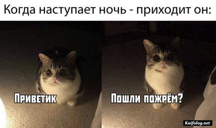 прикольная картинка с надписью