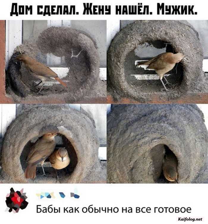 прикольная картинка с надписью