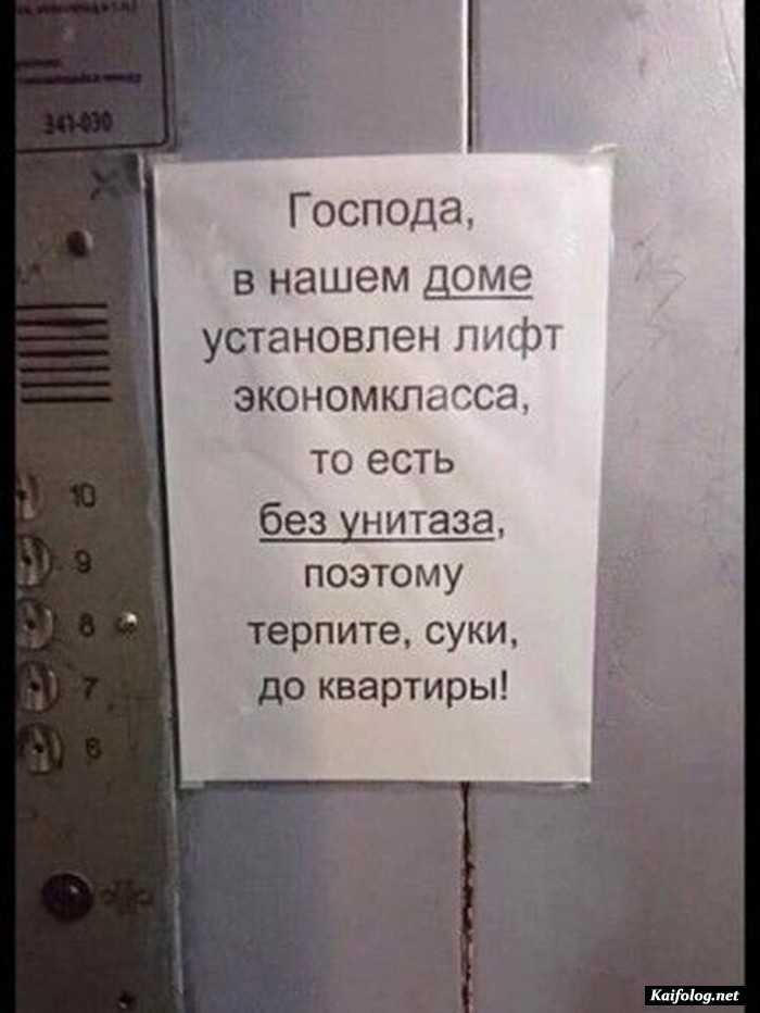 фотоприкол