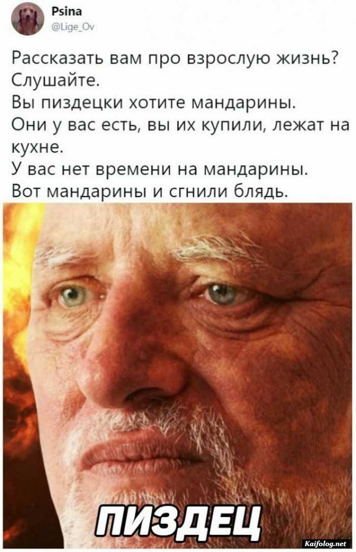 прикольная картинка с текстом