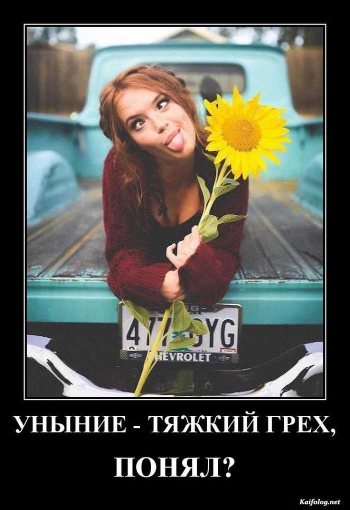 прикольный демотиватор
