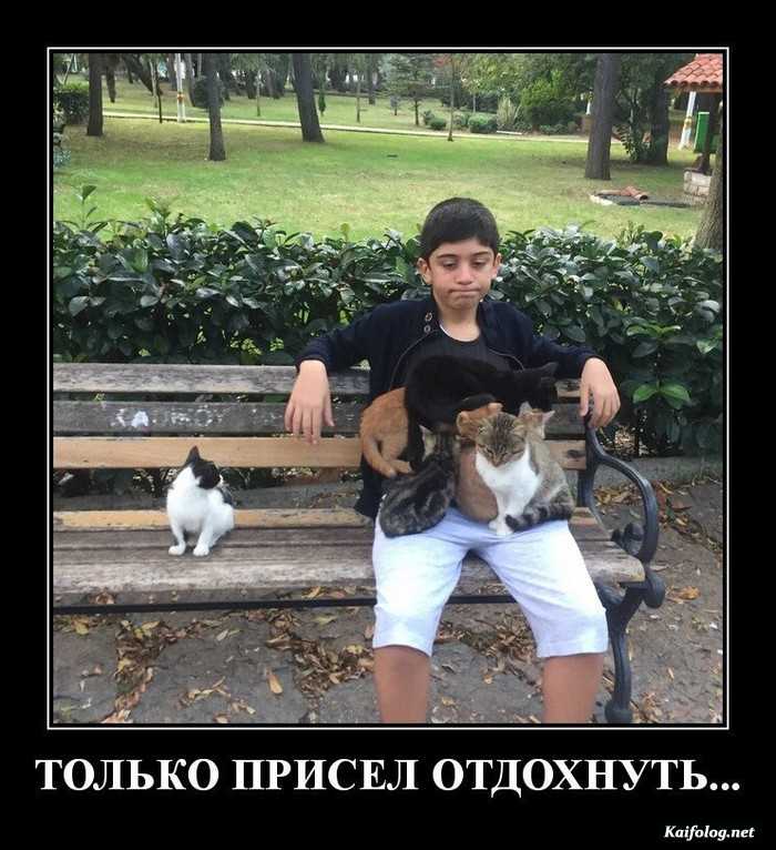 прикольный демотиватор