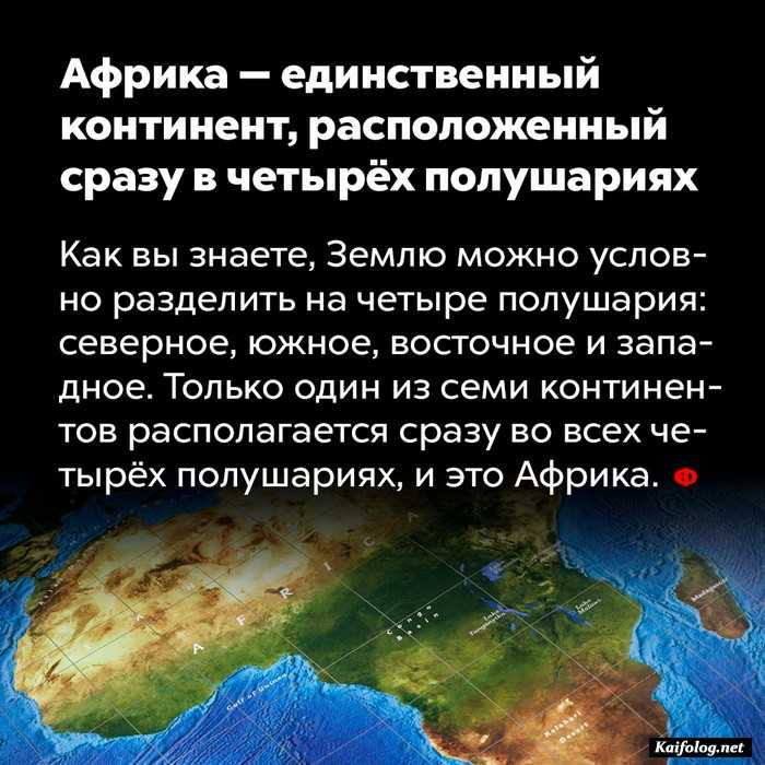 картинка занимательный факт