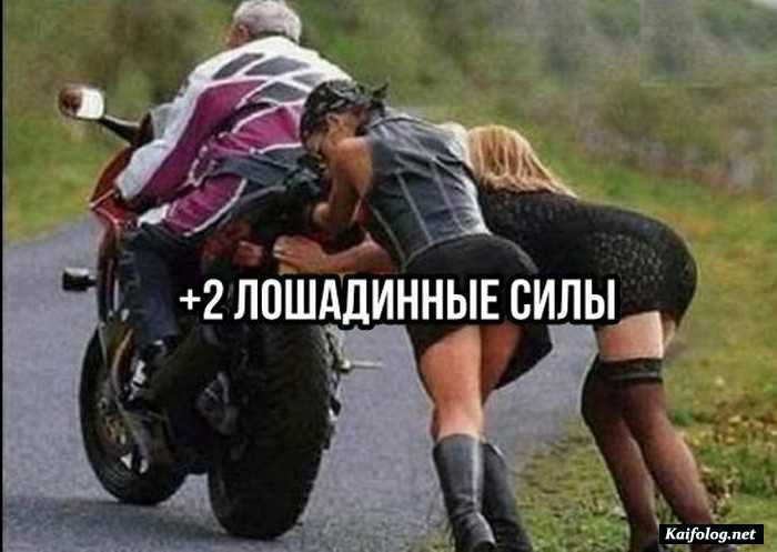 смешное фото