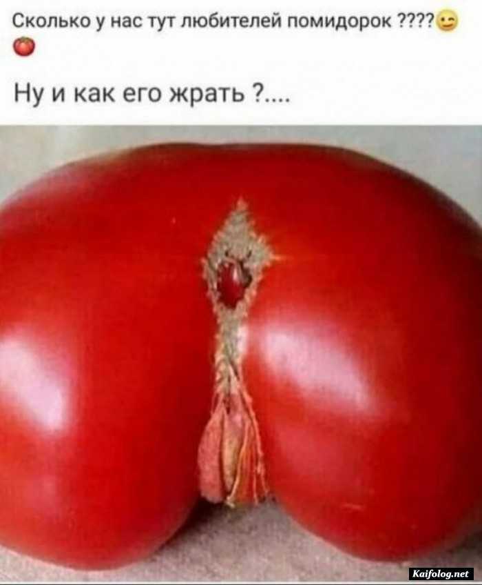 смешное фото