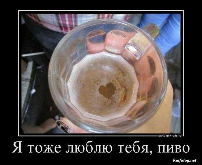 демотиватор