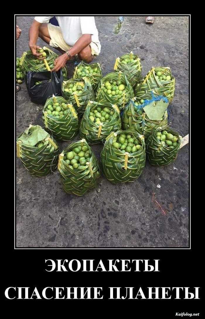 демотиватор