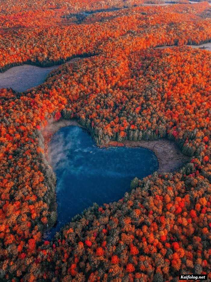 забавное фото