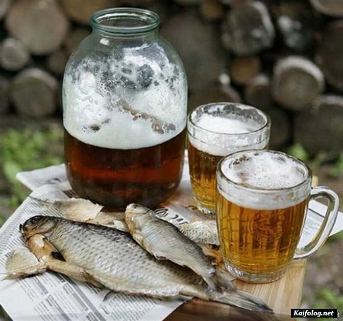 фото пиво и рыба